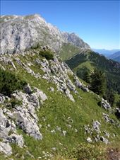 by krodin, Views[321]