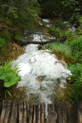 by krodin, Views[295]