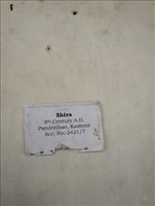 by krodin, Views[353]