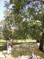 by krodin, Views[395]