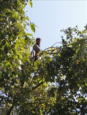 by krodin, Views[270]