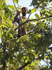 by krodin, Views[337]