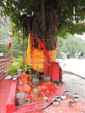 by krodin, Views[392]