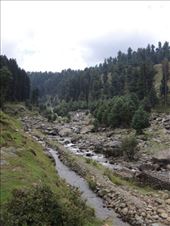 by krodin, Views[661]