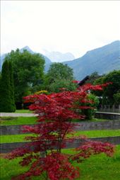 by krodin, Views[424]