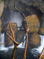 by krodin, Views[542]