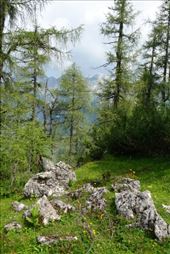 by krodin, Views[337]