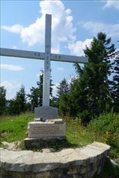 by krodin, Views[348]