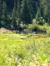 by krodin, Views[369]