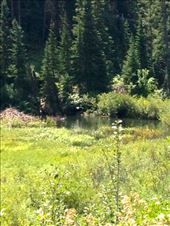 by krodin, Views[380]