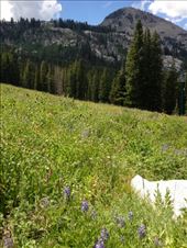 by krodin, Views[393]