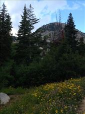 by krodin, Views[396]