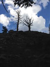 by krodin, Views[410]