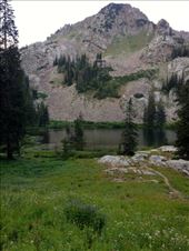 by krodin, Views[364]