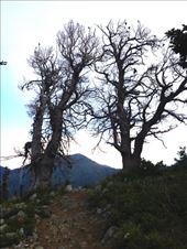 by krodin, Views[297]