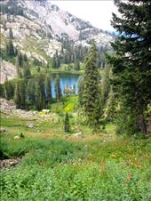 by krodin, Views[419]