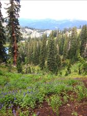 by krodin, Views[402]