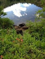 by krodin, Views[436]