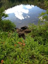 by krodin, Views[320]