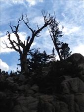 by krodin, Views[424]