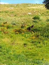 by krodin, Views[506]