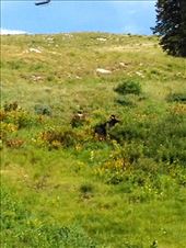 by krodin, Views[612]