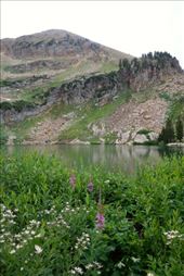 by krodin, Views[422]