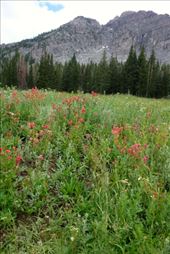 by krodin, Views[400]