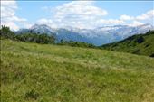 by krodin, Views[356]