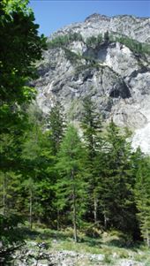 by krodin, Views[347]