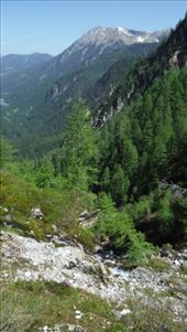 by krodin, Views[381]