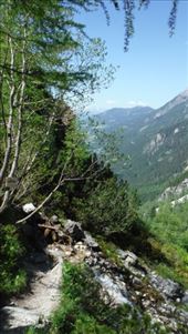 by krodin, Views[578]