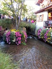 by krodin, Views[313]