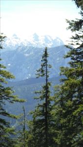 by krodin, Views[419]