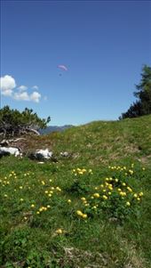 by krodin, Views[431]