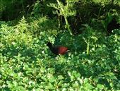 by krodin, Views[397]