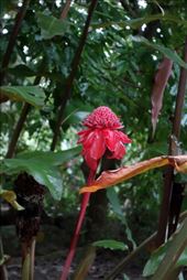 by krodin, Views[347]