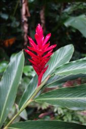 by krodin, Views[348]