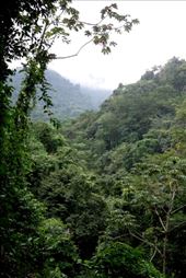 by krodin, Views[356]