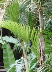 by krodin, Views[415]