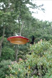 by krodin, Views[156]