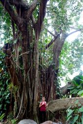 by krodin, Views[210]