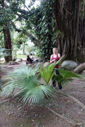 by krodin, Views[242]