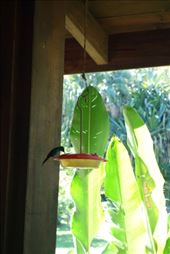 by krodin, Views[184]