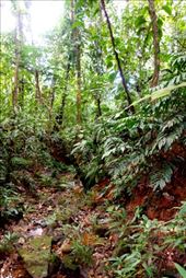 by krodin, Views[199]