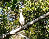 by krodin, Views[249]