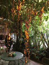 by krodin, Views[491]