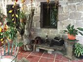 by krodin, Views[466]