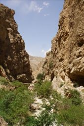 by krodin, Views[486]