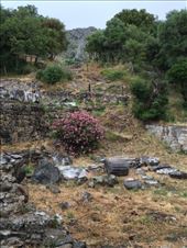 by krodin, Views[681]